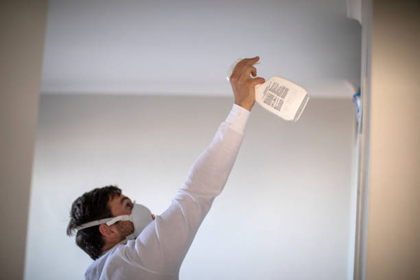 Best Mold Remediation  in Fate, TX