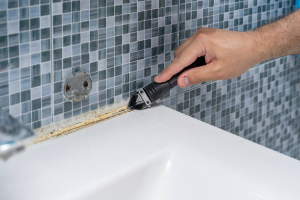 Best Mold Cleaning Services  in Fate, TX