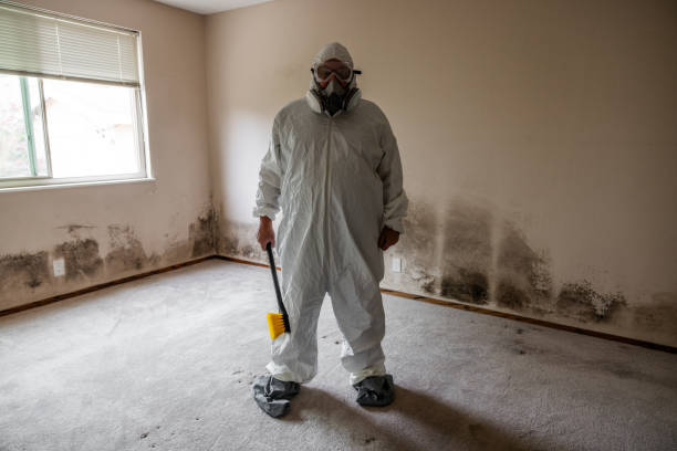 Best Mold Testing  in Fate, TX